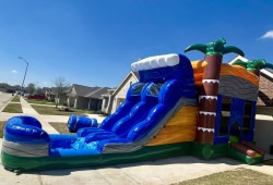 Ocean20Oasis 1744938292 Ocean Oasis